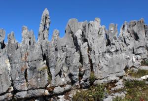 Bosque de Piedras de Chucumaca